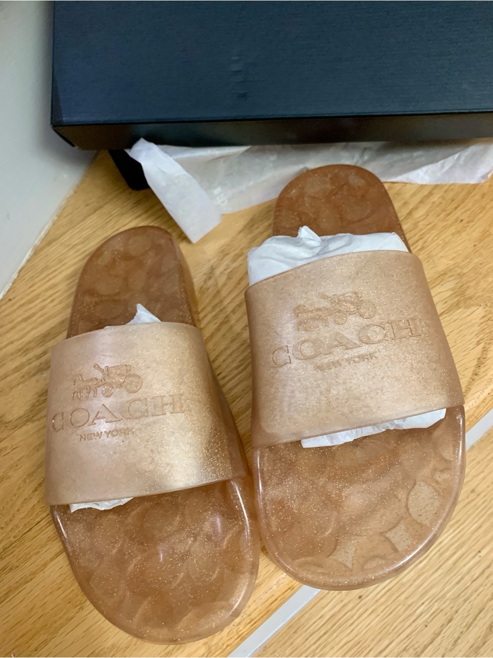 Coach Gold Slide Sandals